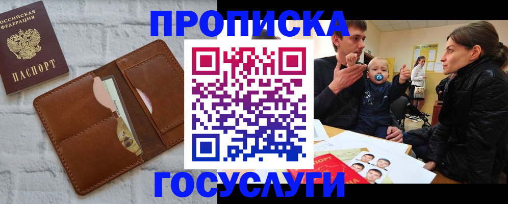 прописка поиск в Коле